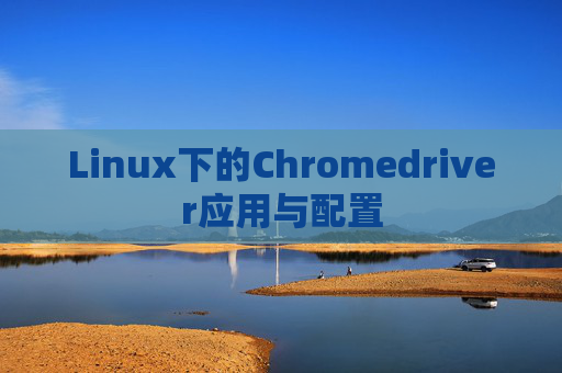 Linux下的Chromedriver应用与配置